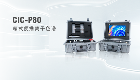 CIC-P80��ʽ��Я����ɫ��